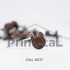 Șurub autoforant pentru metal, maro RAL 8017, 4.8 x 35 mm, 250 buc / cutie